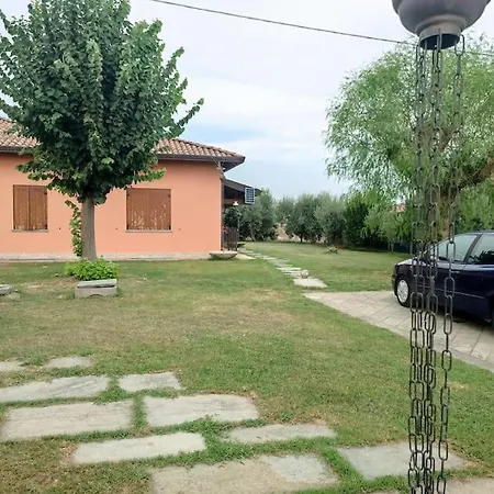 Toni * سكانتْسانو