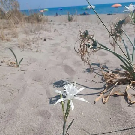 Σπίτι διακοπών Toni