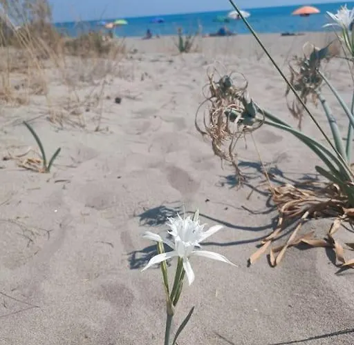 Prázdninový dům Toni