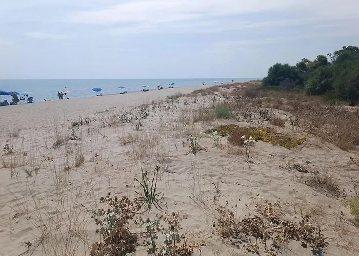 Toni Prázdninový dům *